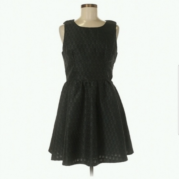 Aryeh Dresses & Skirts - Teardrop Embroidered Sleeveless Mini Dress